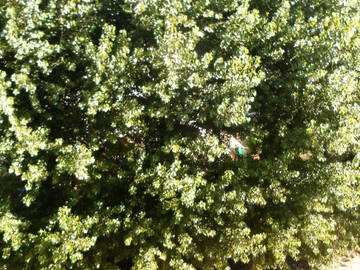 Zakwaterowanie U Rodziny Mandelieu-la-Napoule 29483-3