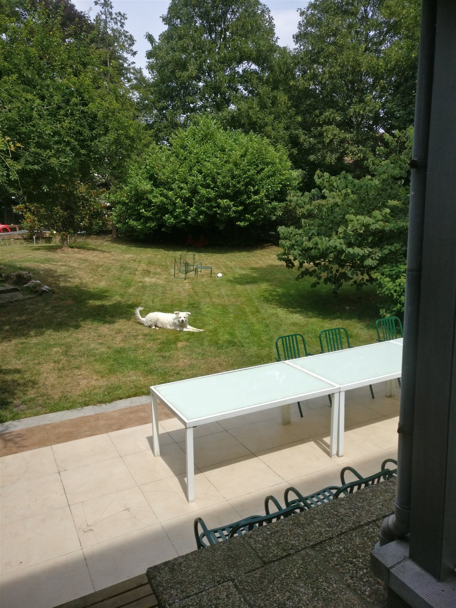 Gastgezin Schaerbeek 230107