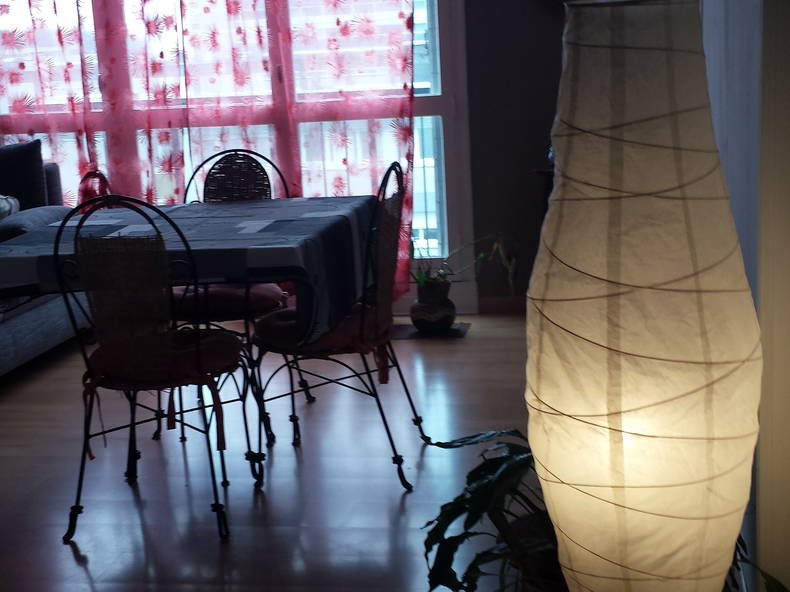 Gastfamilie Nantes 43596-2