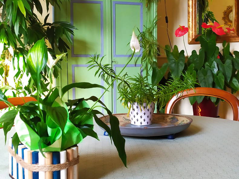 Zakwaterowanie U Rodziny Vichy 100653-3