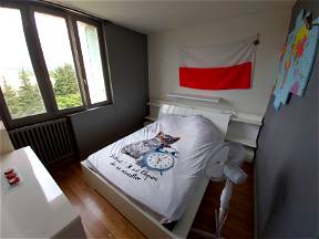 Room For Rent / Female Roommate On Montélimar