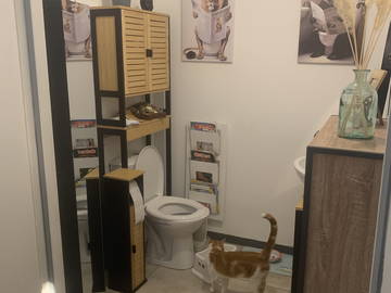 Homestay Plaisance-Du-Touch 256029-5