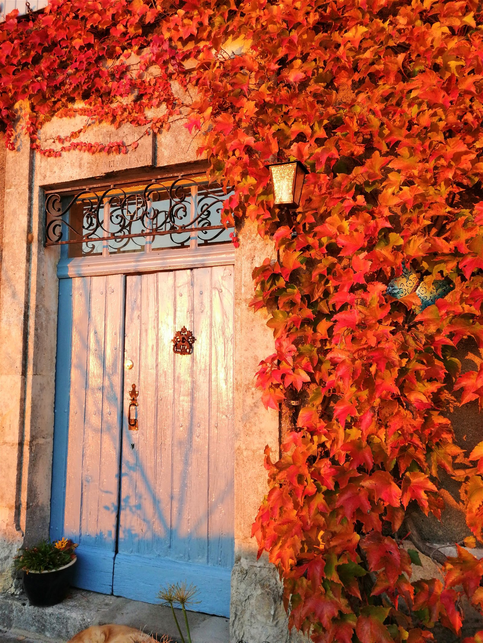 Homestay Eymouthiers 266843