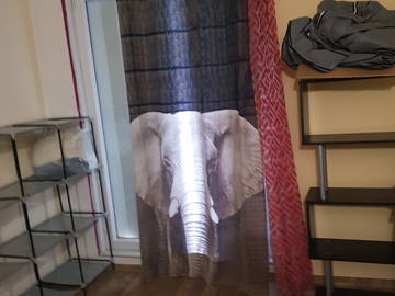 Shared housing for rent in Montpellier - photo 4: Other room-4