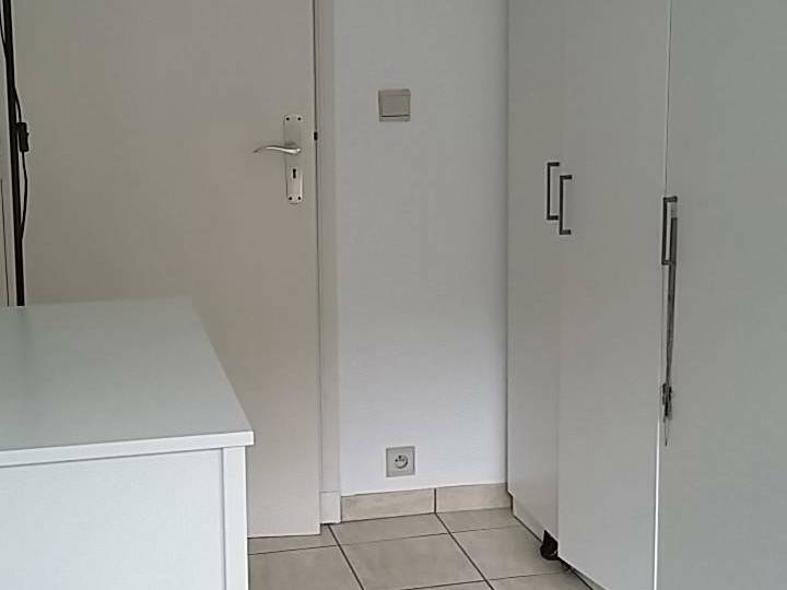 Kolokasie Herstal 141804-5