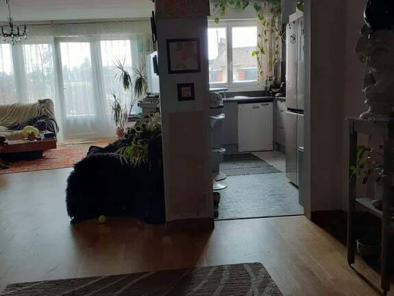 Quedarse En Casa Arras 251154-4