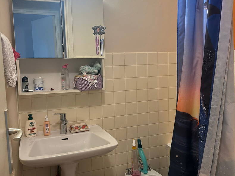 Chambre Chez L'habitant Paris 245748-5