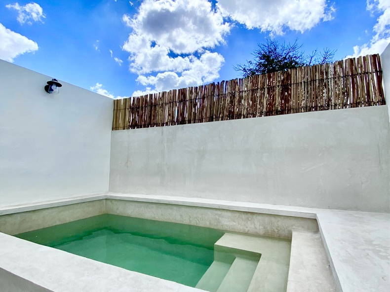 Kolokasie Mérida 468803-5