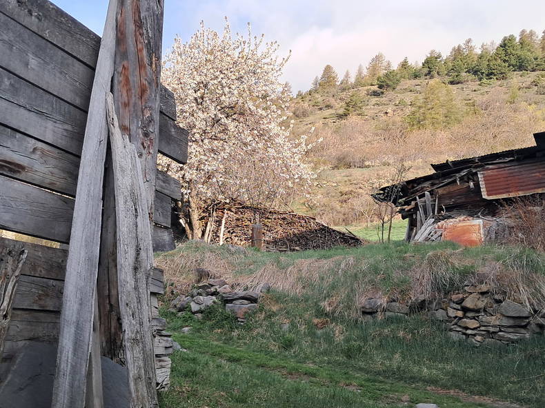 Coliving Puy-Saint-Pierre 470689-5