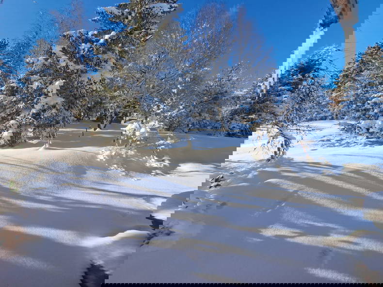 Chambre Chez L'habitant Arbaz 266715-5