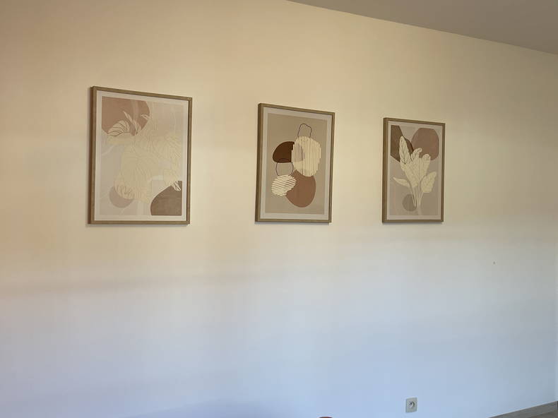 Kolokasie Waterloo 639781-2