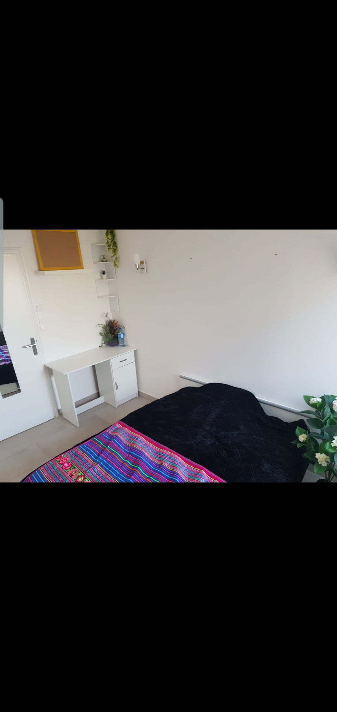 Colocation Montpellier 247542
