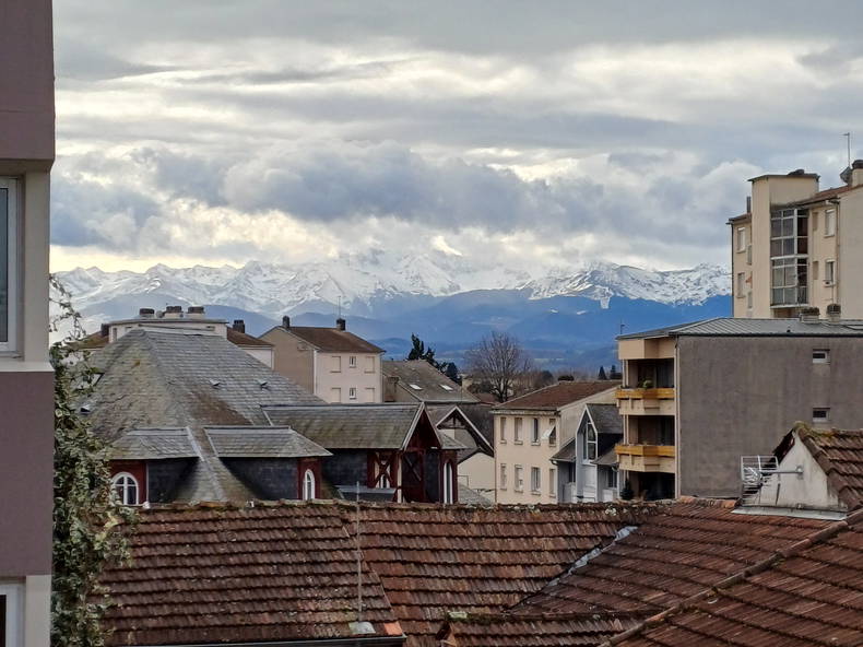 Kolokasie Tarbes 494439-1