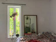 Colocation Montréal 536362-4