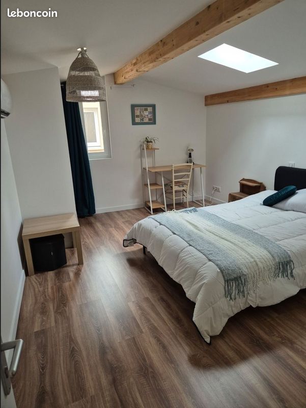 Colocation Clermont-Ferrand 594690