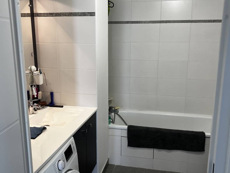 Colocation Blagnac 504367-4