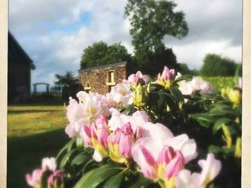 Chambre À Louer Campénéac 254029