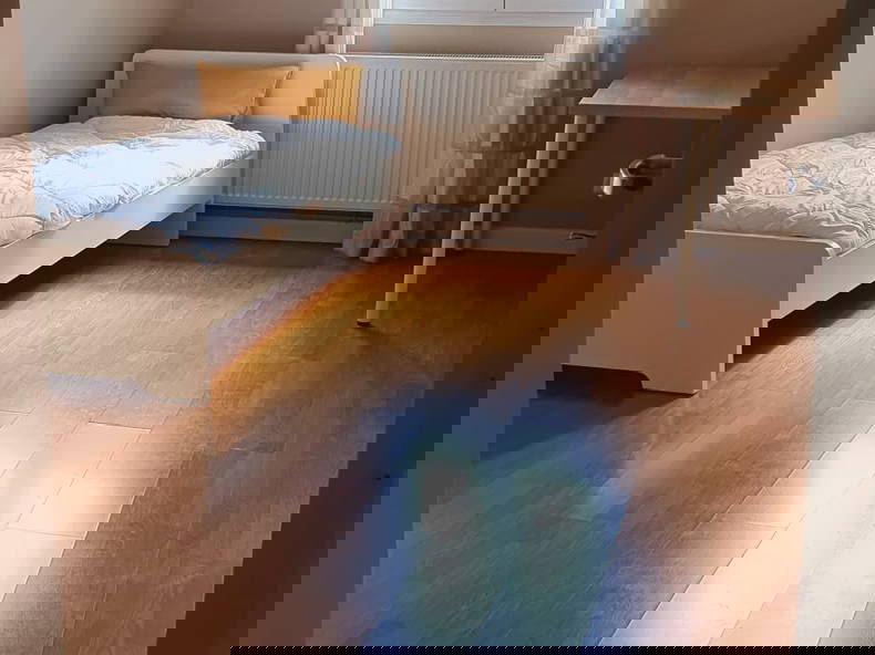 Colocation Villetaneuse 535636-2