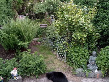 Shared Accommodation Schaerbeek 531157-11