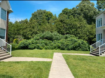 Colocation Laval 499136-6