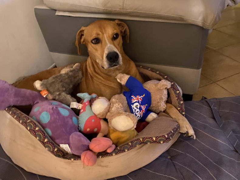 Homestay Aix-en-Provence 462153-4