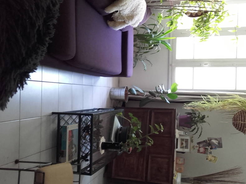 Quedarse En Casa Rouvenac 48071-4