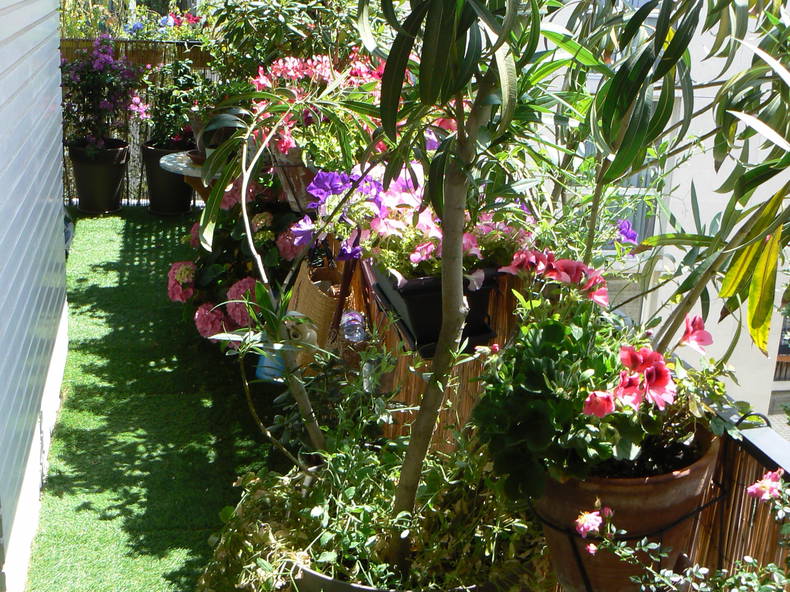 Gastgezin Paris 103676-5