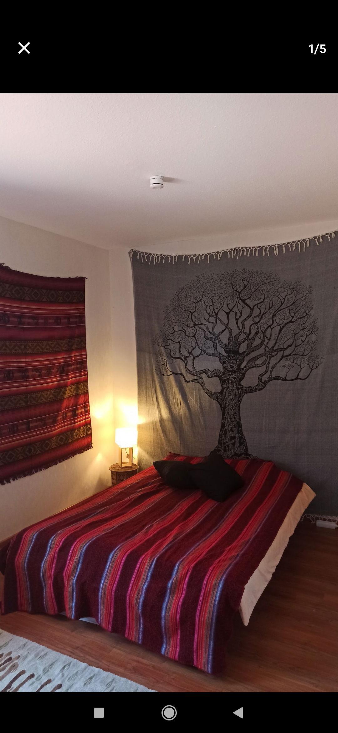 Chambre Chez L'habitant Toulouse 440693