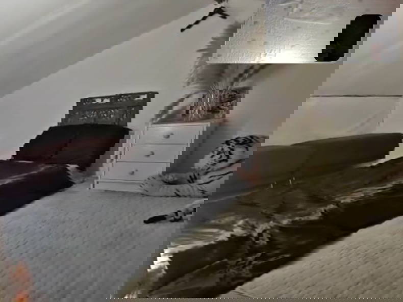 Quedarse En Casa Nogent-sur-Marne 447645-1