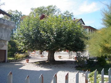 Chambre À Louer Genève 5650