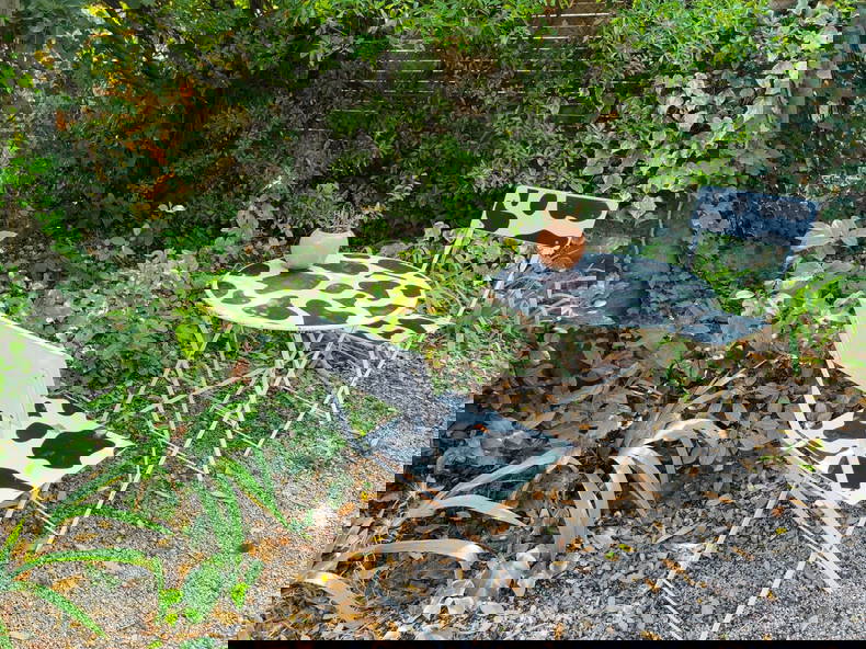 Colocation Montpellier 546447-3