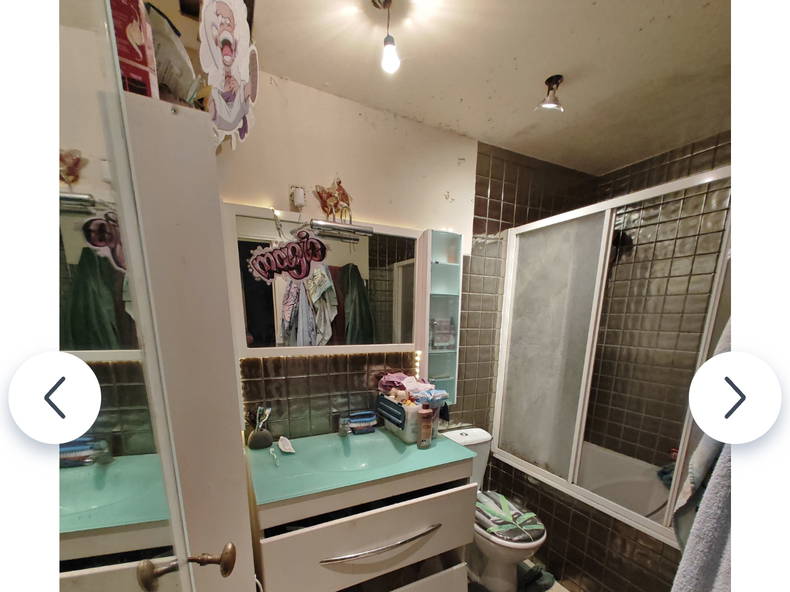 Chambre Chez L'habitant Nogent-sur-Marne 535055-3