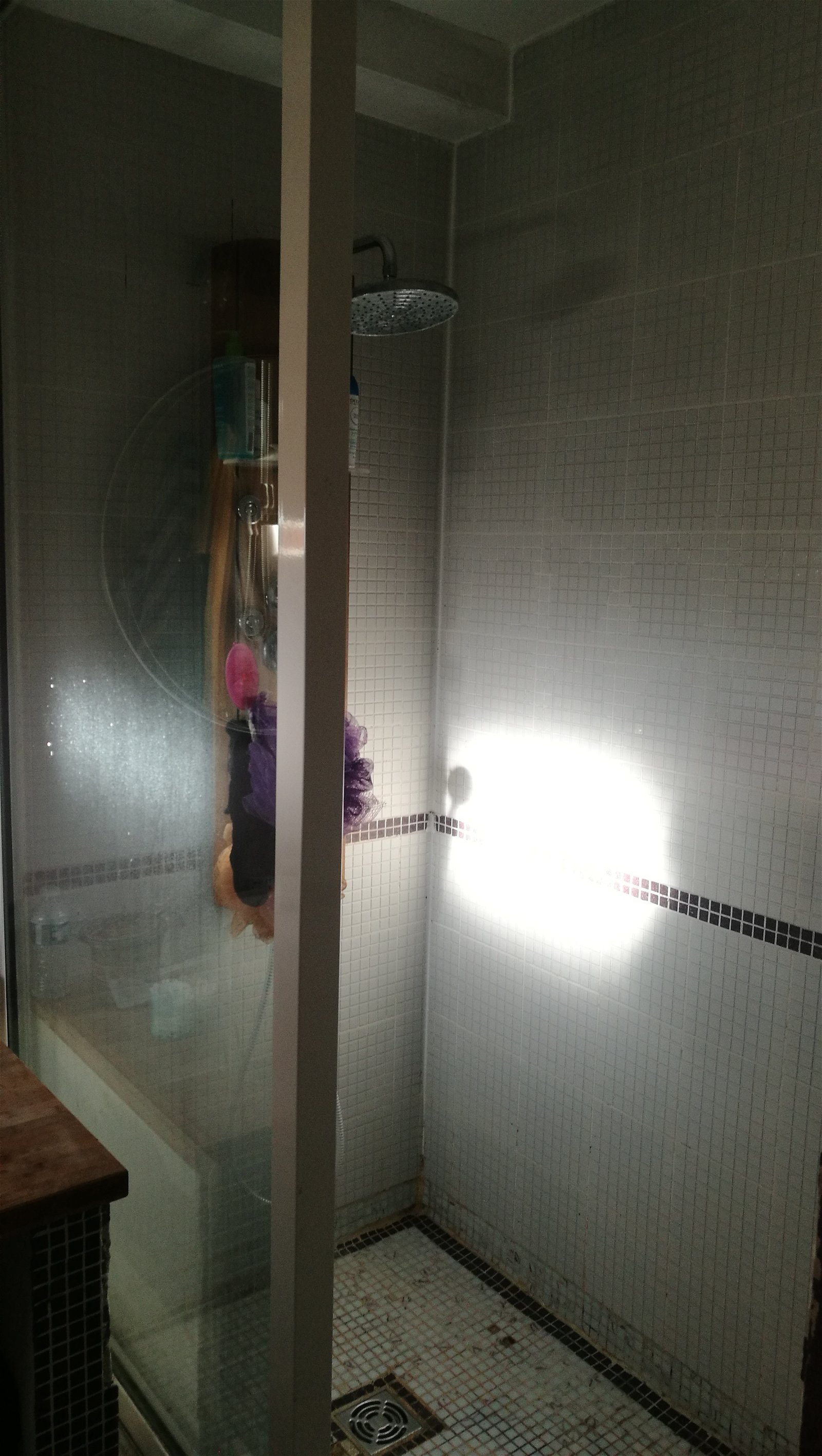 Gastgezin Loubens-Lauragais 198153