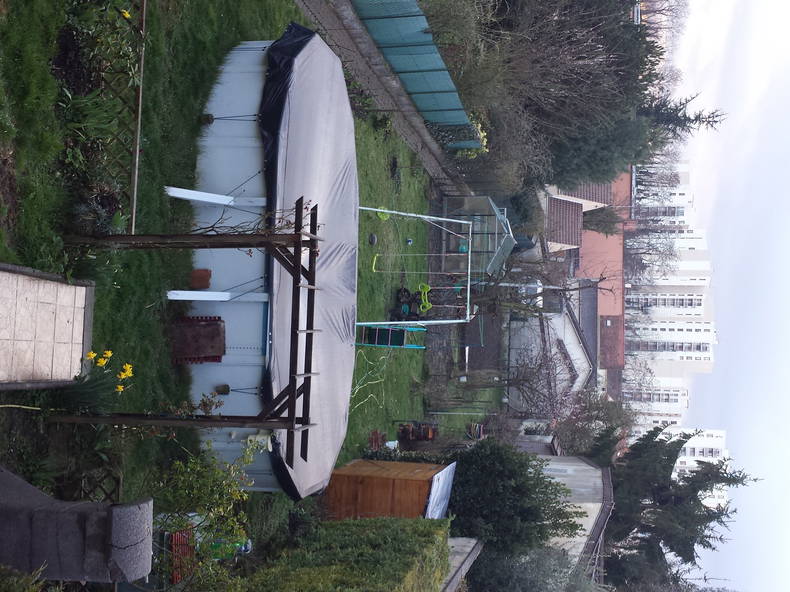 Homestay Neuilly-sur-Marne 99497-2