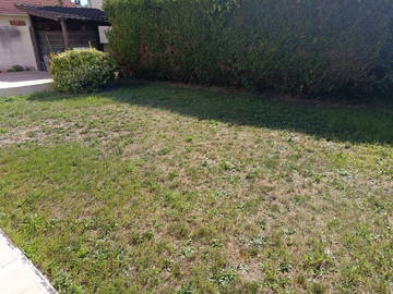 Colocation Morangis 656267-3