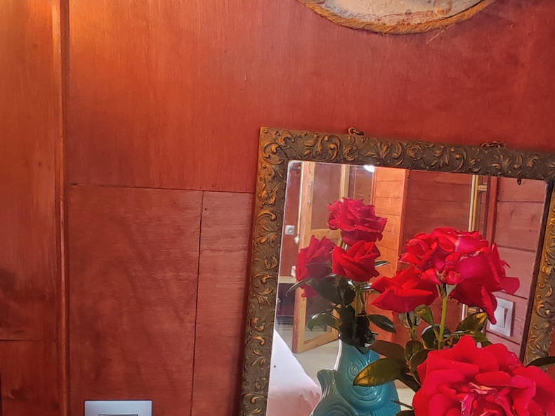 Gastfamilie Auxerre 614906-5