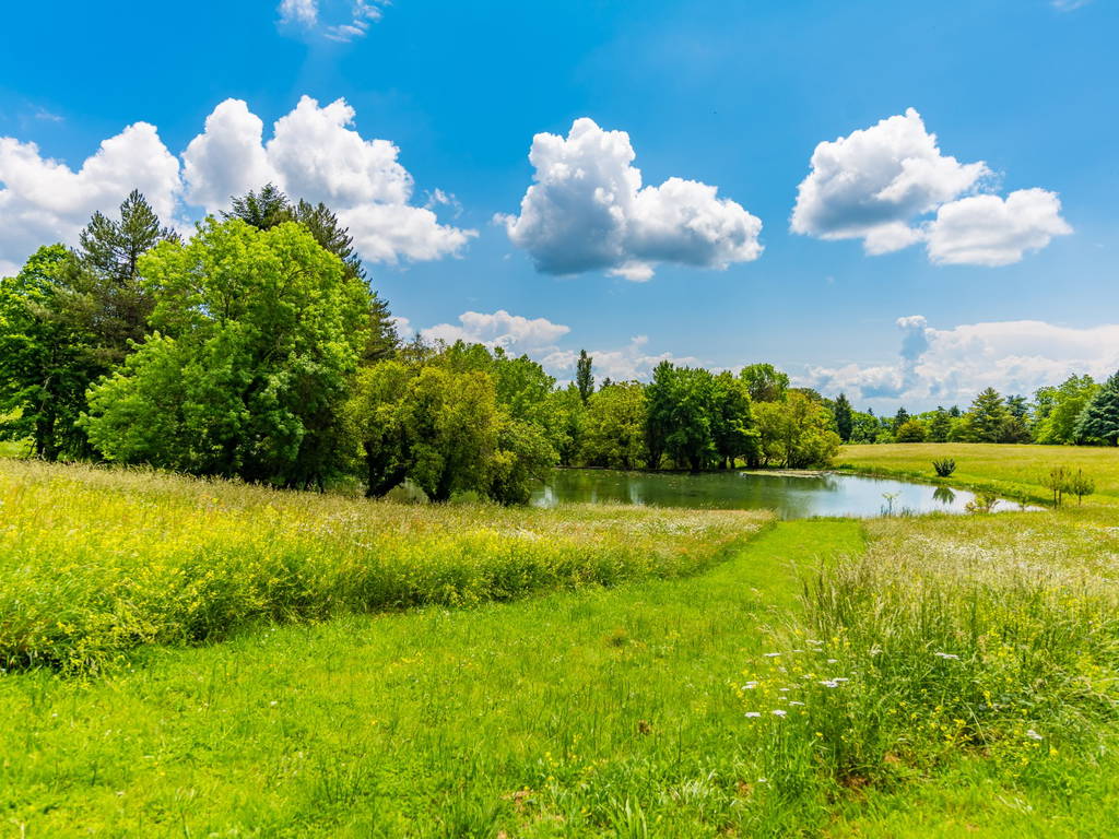 Homestay Laprade 660989-1