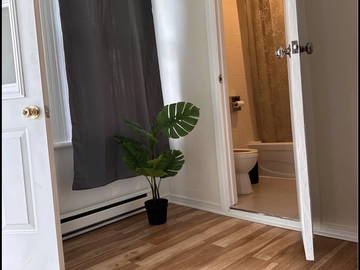 Colocation Montréal 658272-5