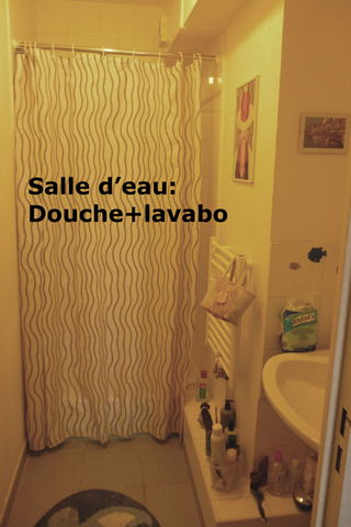 Chambre Chez L'habitant Paris 43085