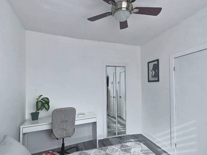 Kolokasie Montreal 636990-2