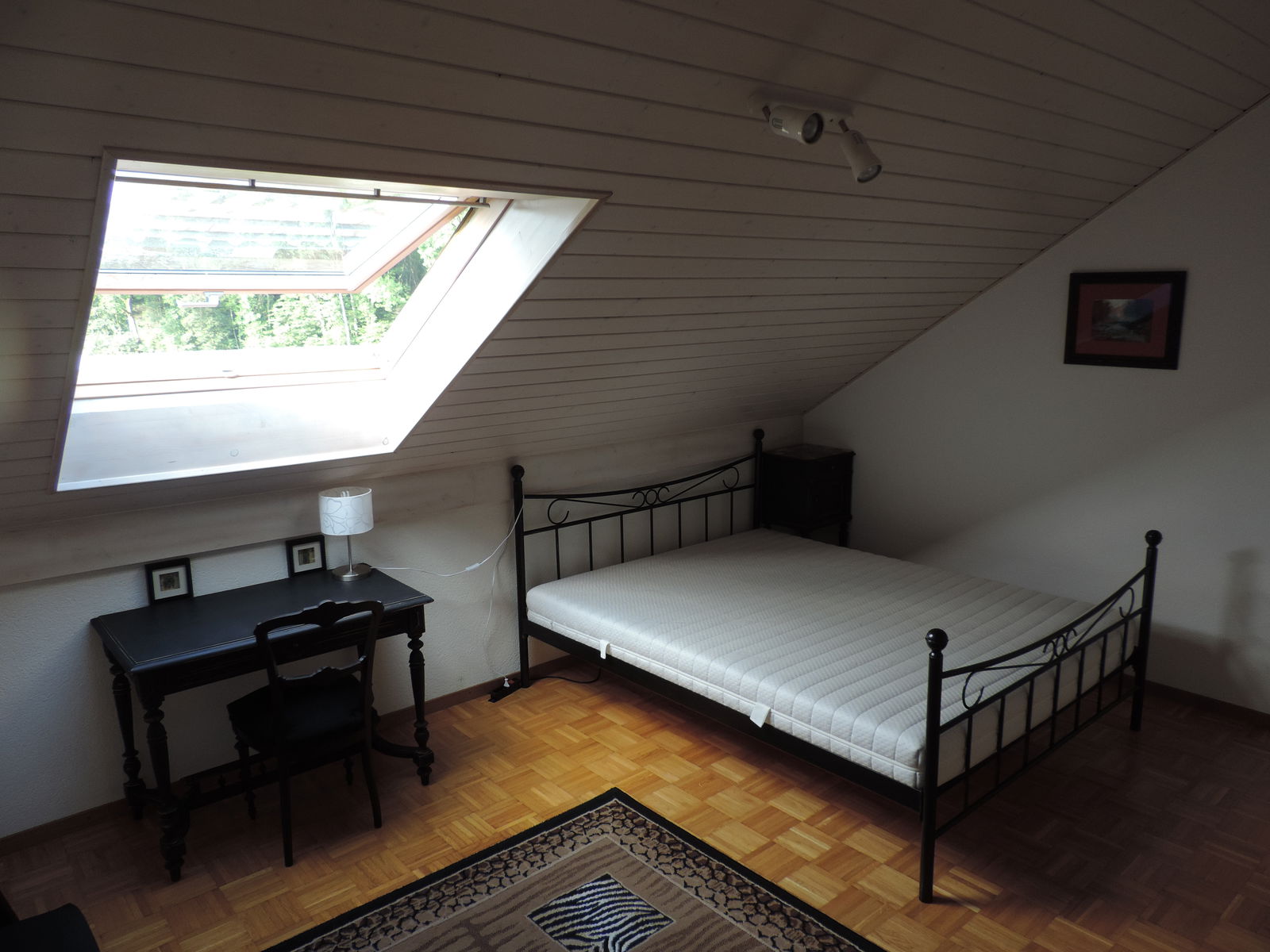 Chambre Chez L'habitant Versoix 190473