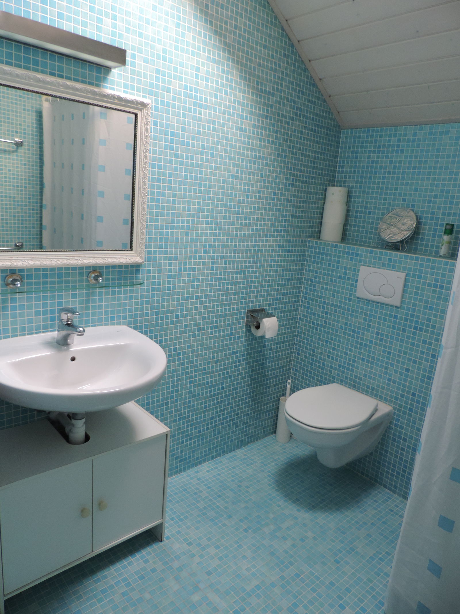 Chambre Chez L'habitant Versoix 190473