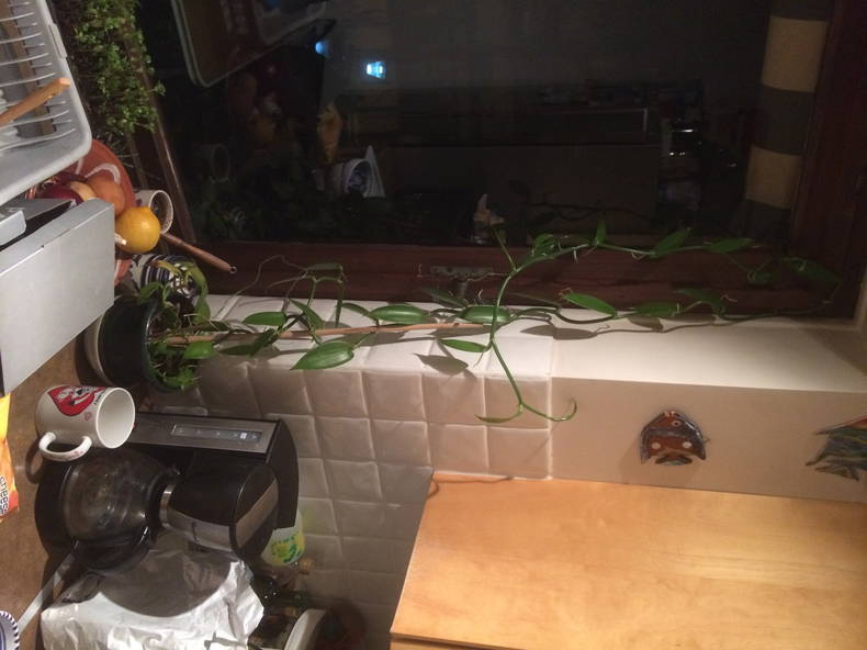 Gastfamilie Paris 97719-4