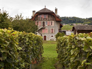 Chambre À Louer Mont-Sur-Rolle 106536