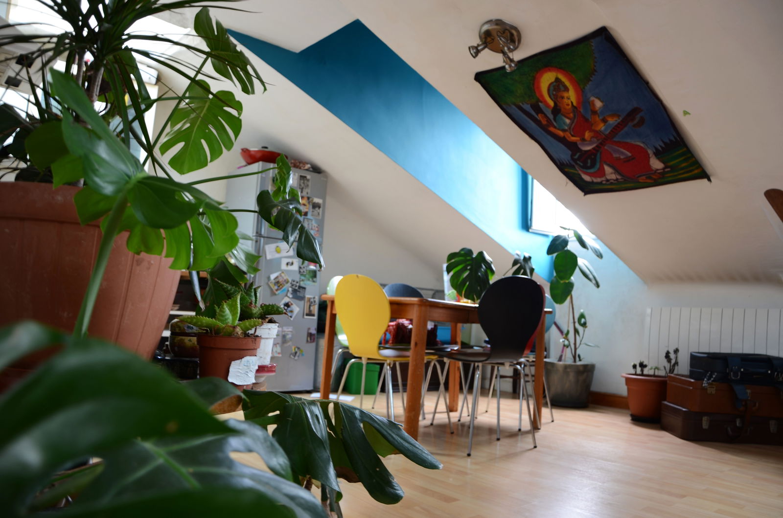 Chambre Chez L'habitant Nice 40183