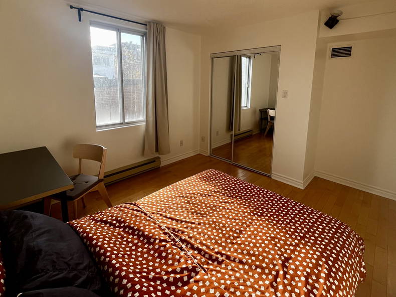 Kolokasie Montréal 636950-2