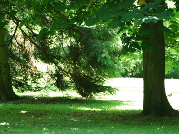 Kolokation Maillot 46930-4