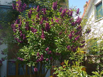 Chambre À Louer Montgeron 82873