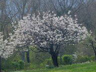 Chambre Chez L'habitant Dardagny 469310-4