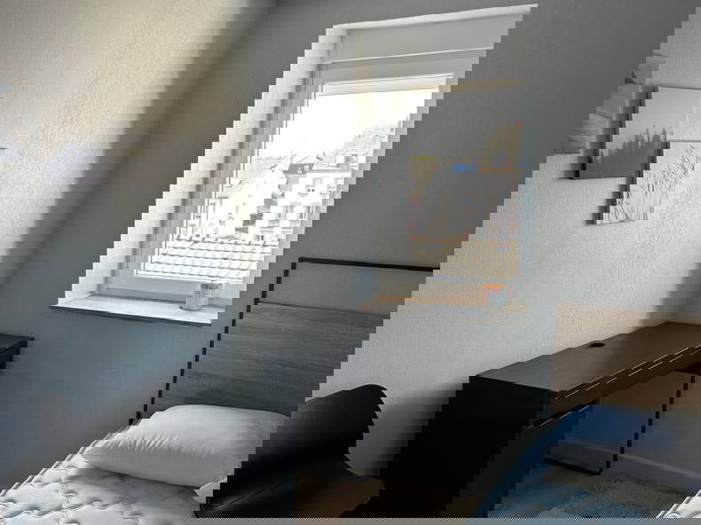 Colocation Mulhouse 532439-5